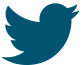 Twiiter Icon